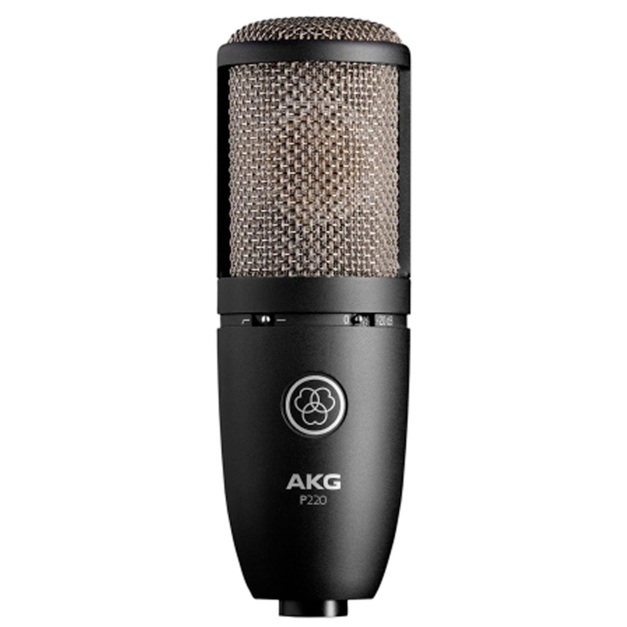 Condenser Microphones - AKG P220 Large Diaphragm True Condenser Microphone