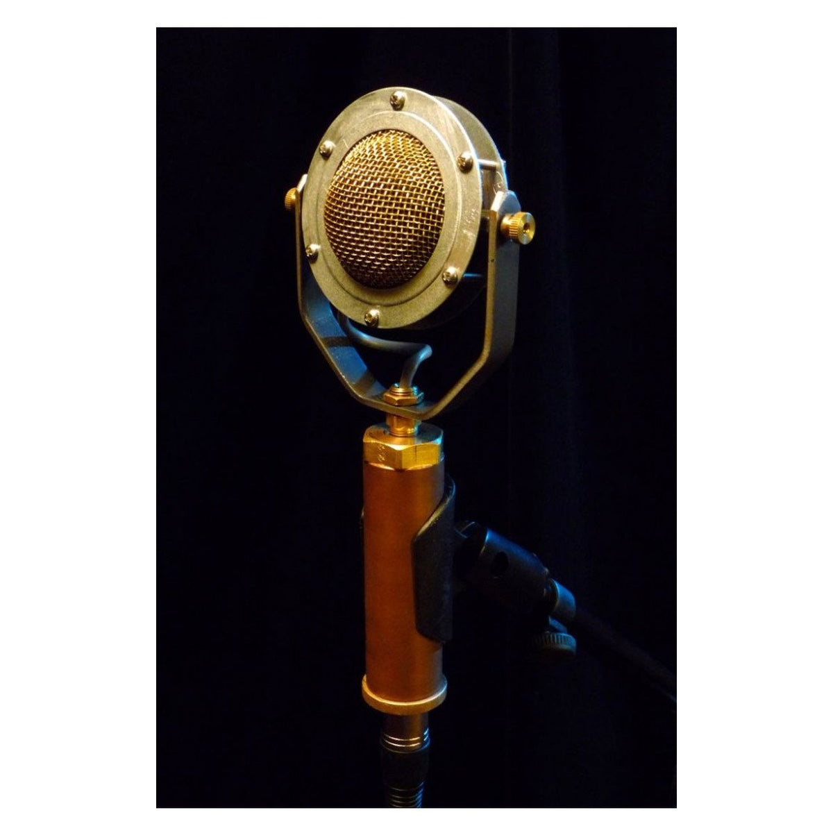 Condenser Microphones - Ear Trumpet Labs Edwina Condenser Microphone