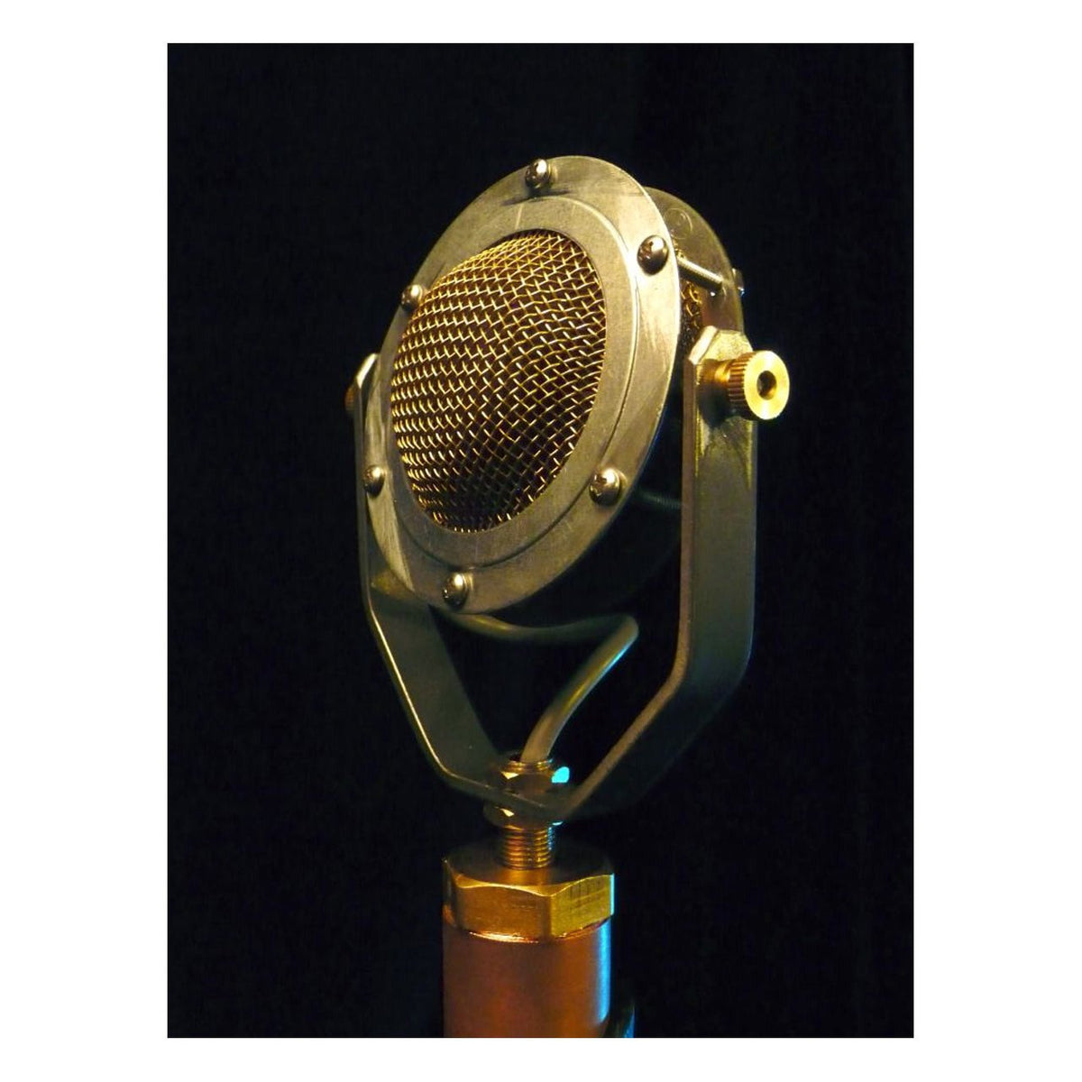 Condenser Microphones - Ear Trumpet Labs Edwina Condenser Microphone