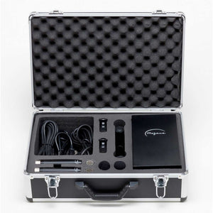 Condenser Microphones - Mojave MA-100SP Condenser Microphones MATCHED PAIR