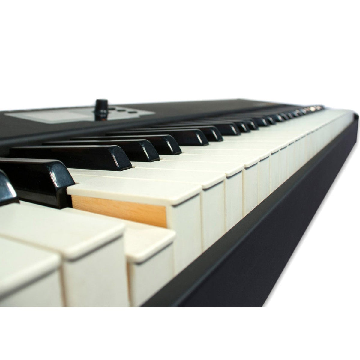 Controller Keyboards - Studio Logic SL88 GRAND MIDI Controller