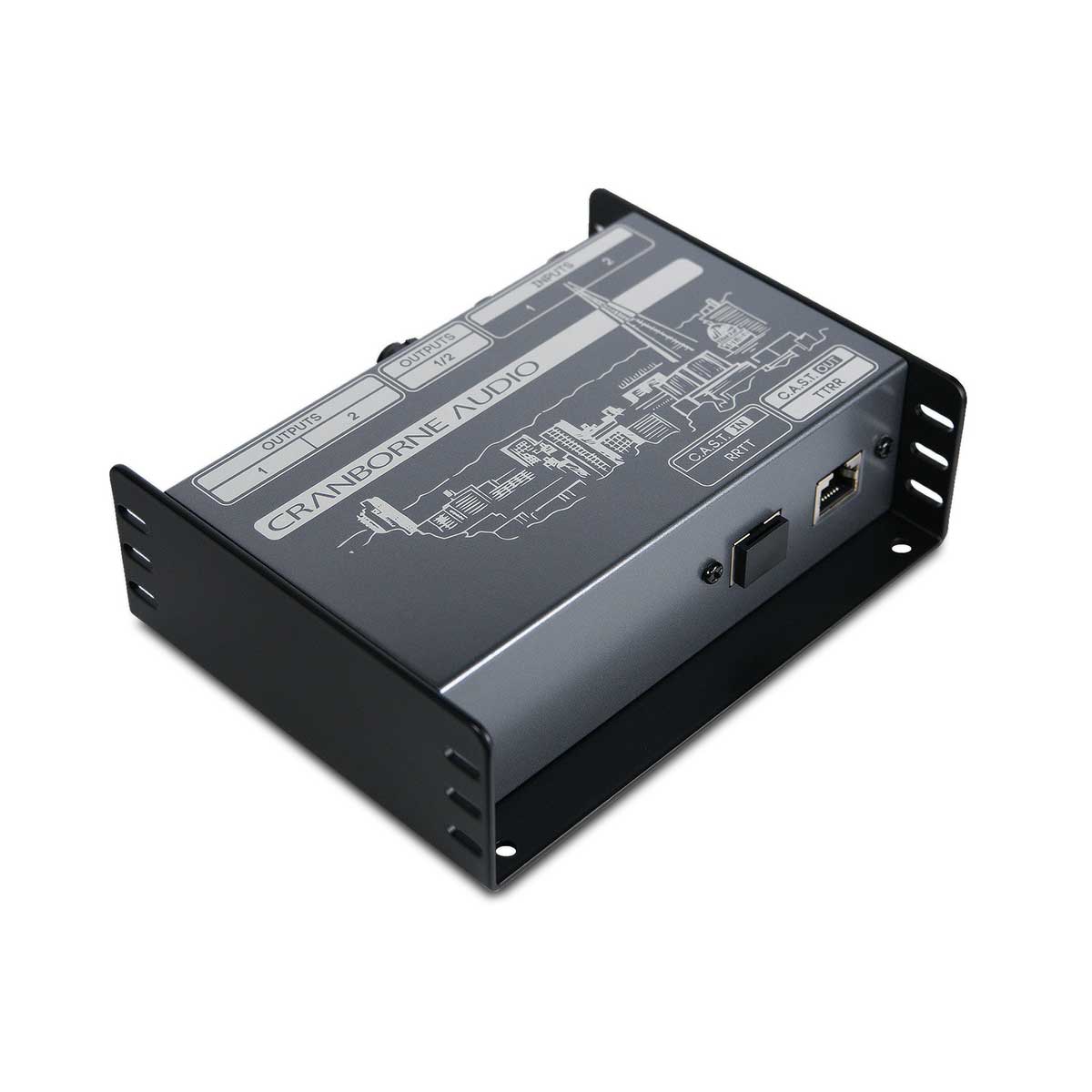 Cranborne Audio N22 Standalone Cat 5 Snake, and C.A.S.T. Breakout Box