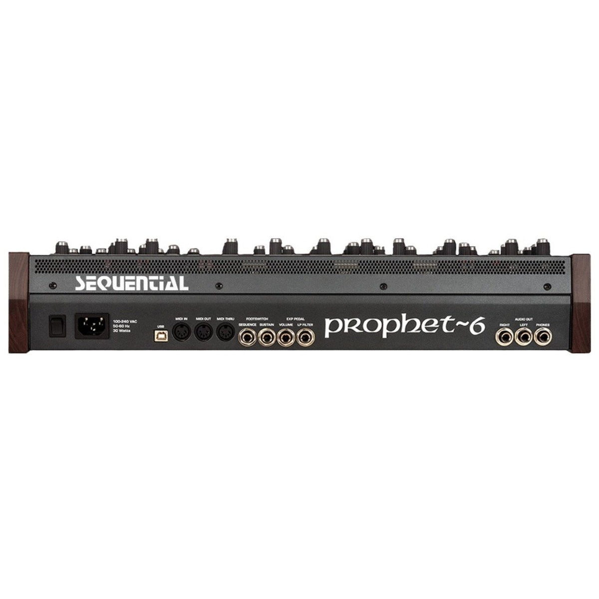 Desktop Synthesizers - Dave Smith Instruments Prophet-6 Desktop Analog Synthesizer