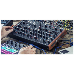 Desktop Synthesizers - Novation Peak Eight-Voice Polyphonic Synthesizer