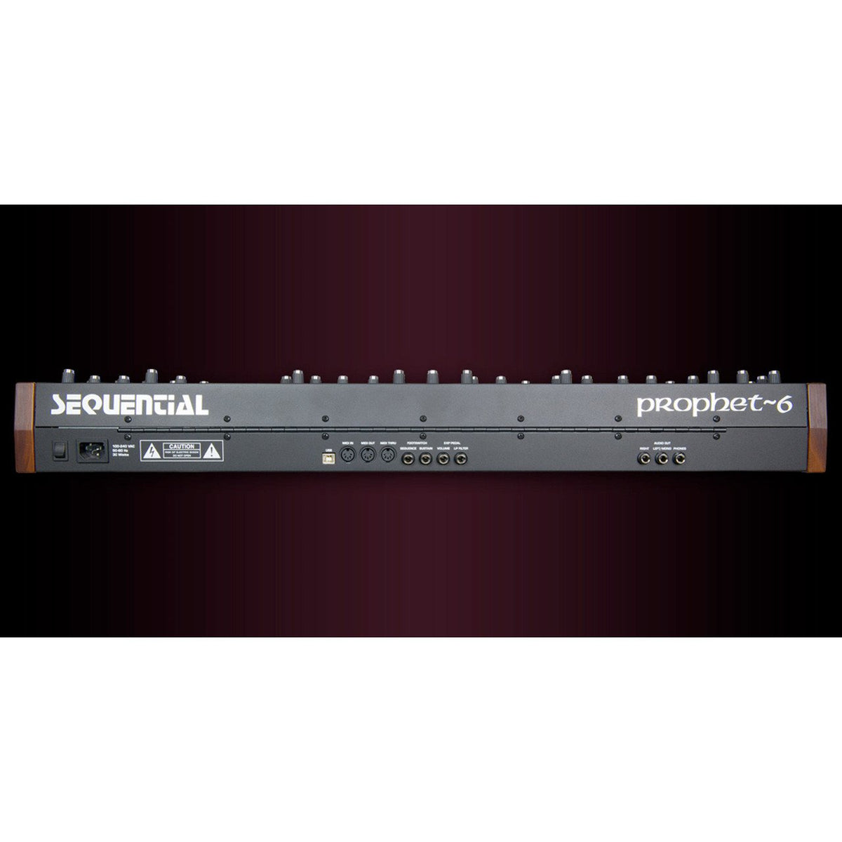 Keyboard Synthesizers - Dave Smith Instruments Prophet-6 Polyphonic Analog Synthesizer