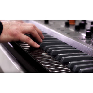 Keyboard Synthesizers - Studio Logic Sledge Black Edition Polyphonic Keyboard Synthesizer