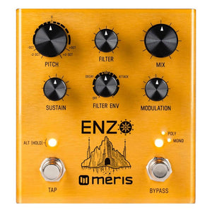 Pedals & Effects - Meris Enzo Multi-Voice Instrument Synthesizer Guitar Pedal