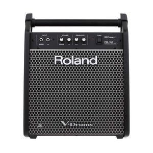 Powered PA Speakers - Roland PM-100 Personal Monitor