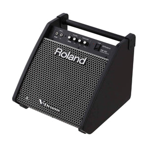 Powered PA Speakers - Roland PM-100 Personal Monitor