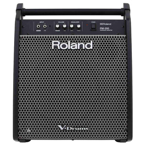 Powered PA Speakers - Roland PM-200 Personal Monitor