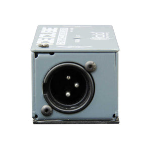 Radial IceCube IC-1 Output