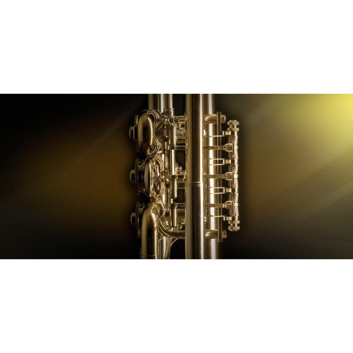 Software Bundles - Vienna Symphonic Library VSL - BRASS BUNDLE