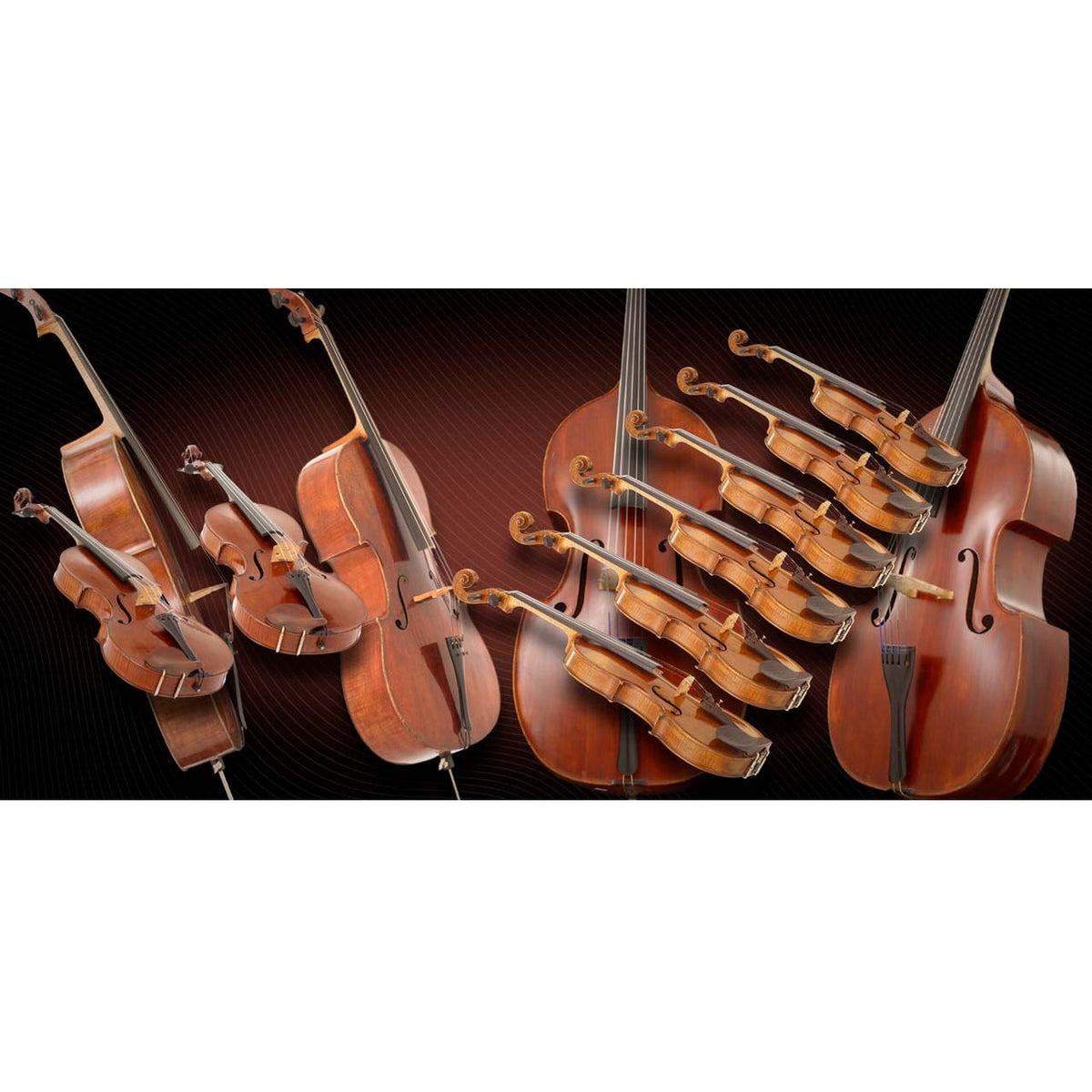 Software Bundles - Vienna Symphonic Library VSL - CHAMBER STRINGS BUNDLE