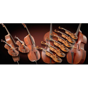 Software Bundles - Vienna Symphonic Library VSL - CHAMBER STRINGS BUNDLE