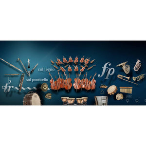 Software Bundles - Vienna Symphonic Library VSL - SPECIAL EDITION VOL. 1 BUNDLE