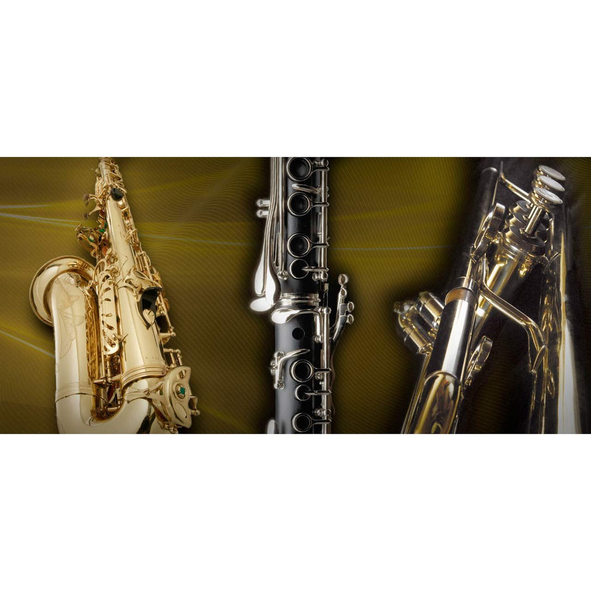 Software Bundles - Vienna Symphonic Library VSL - WINDS COMPLETE