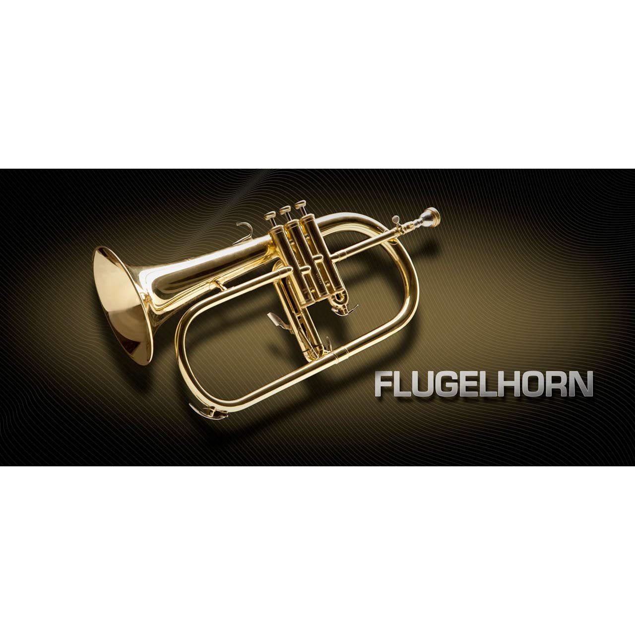 Software Instruments - Vienna Symphonic Library VSL - FLUGELHORN