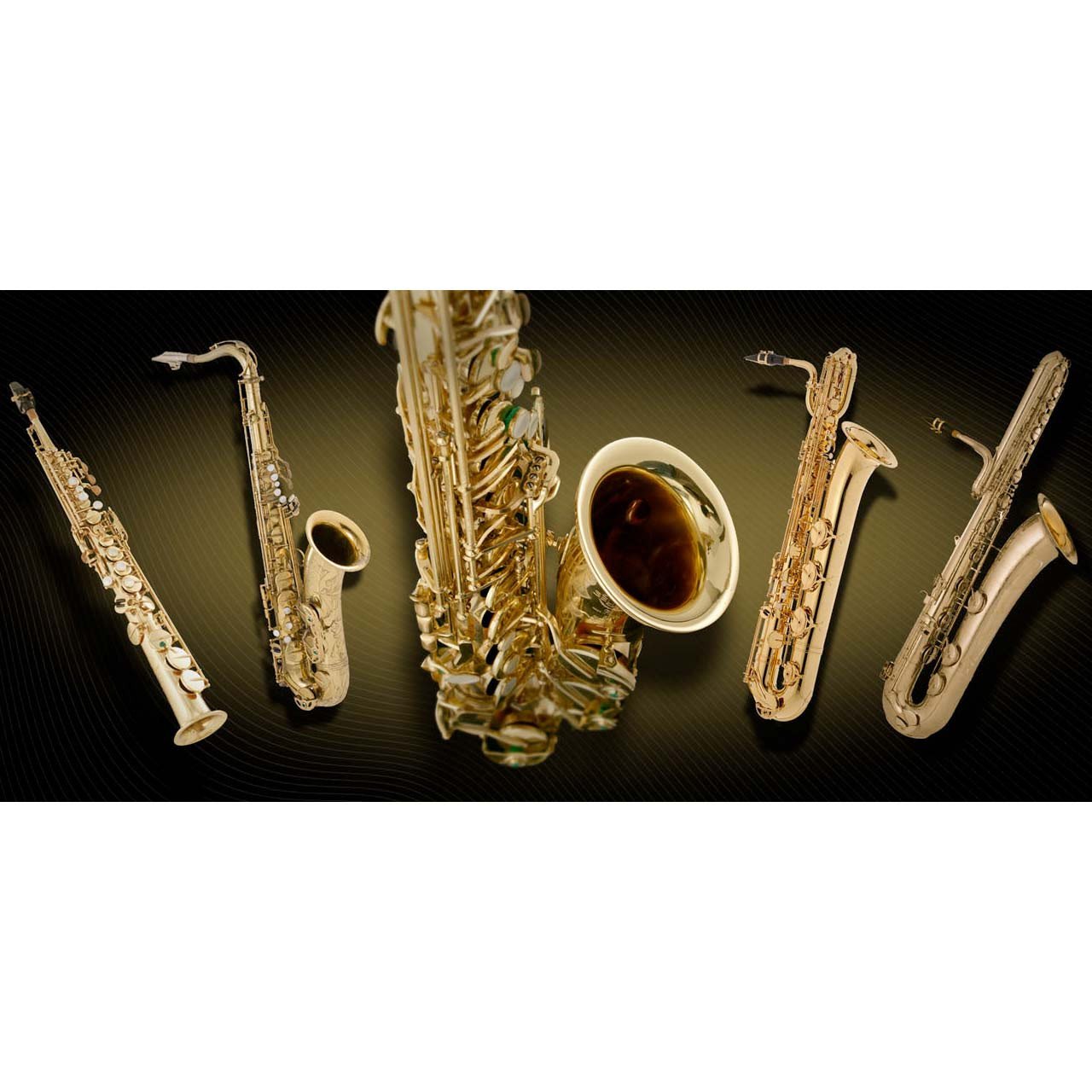Software Instruments - Vienna Symphonic Library VSL - SAXOPHONES