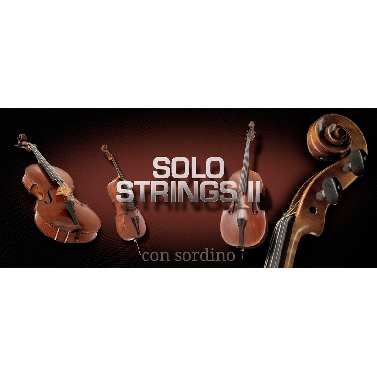 Software Instruments - Vienna Symphonic Library VSL - SOLO STRINGS II