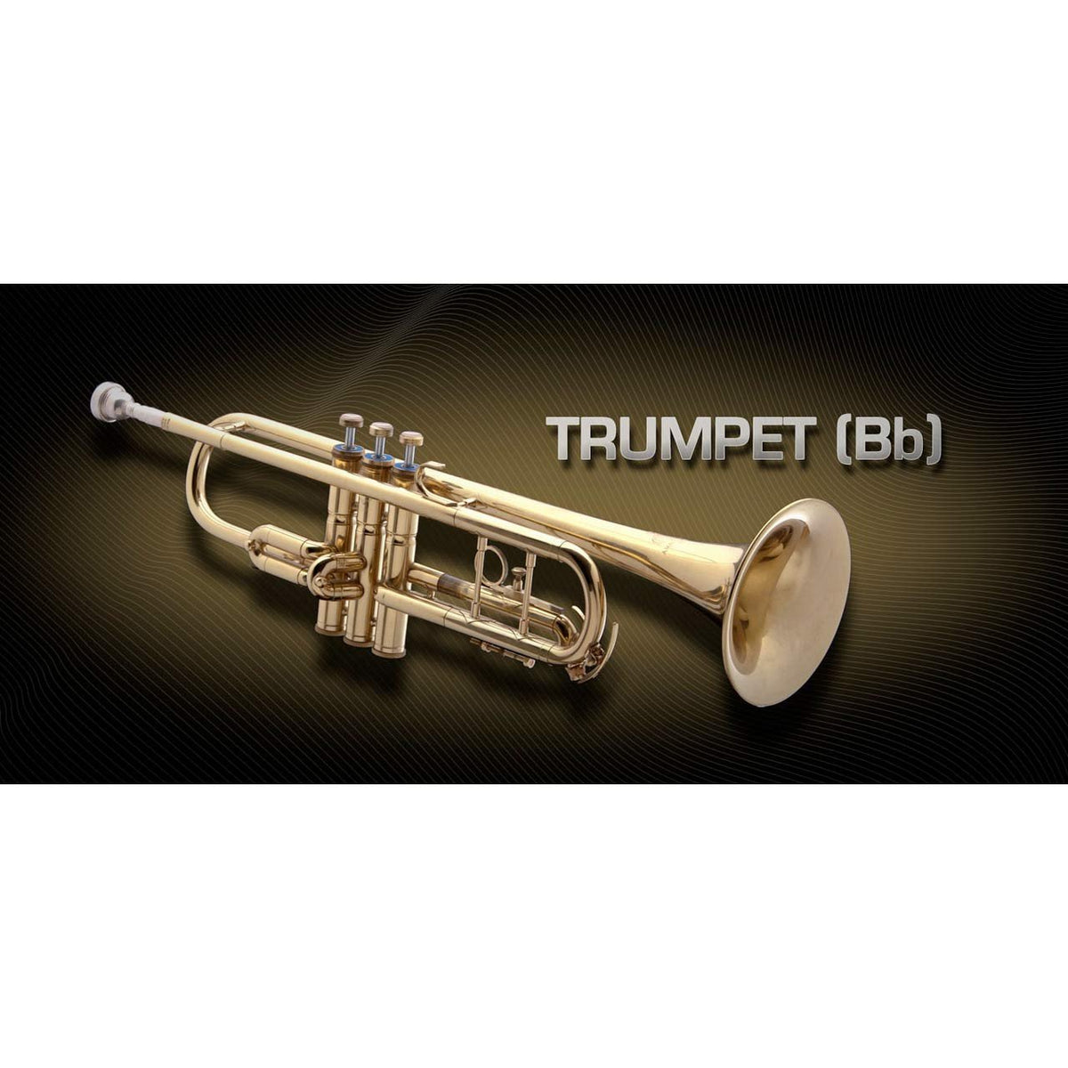Software Instruments - Vienna Symphonic Library VSL - TRUMPET Bb