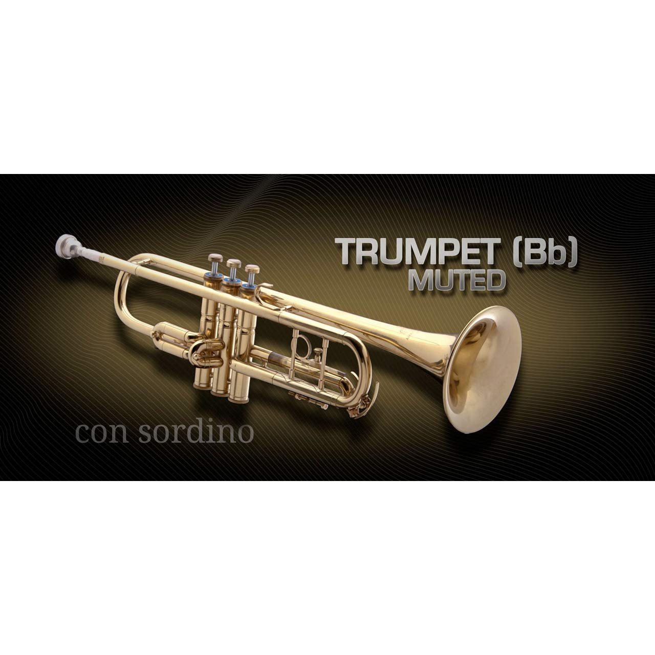 Software Instruments - Vienna Symphonic Library VSL - TRUMPET Bb Muted