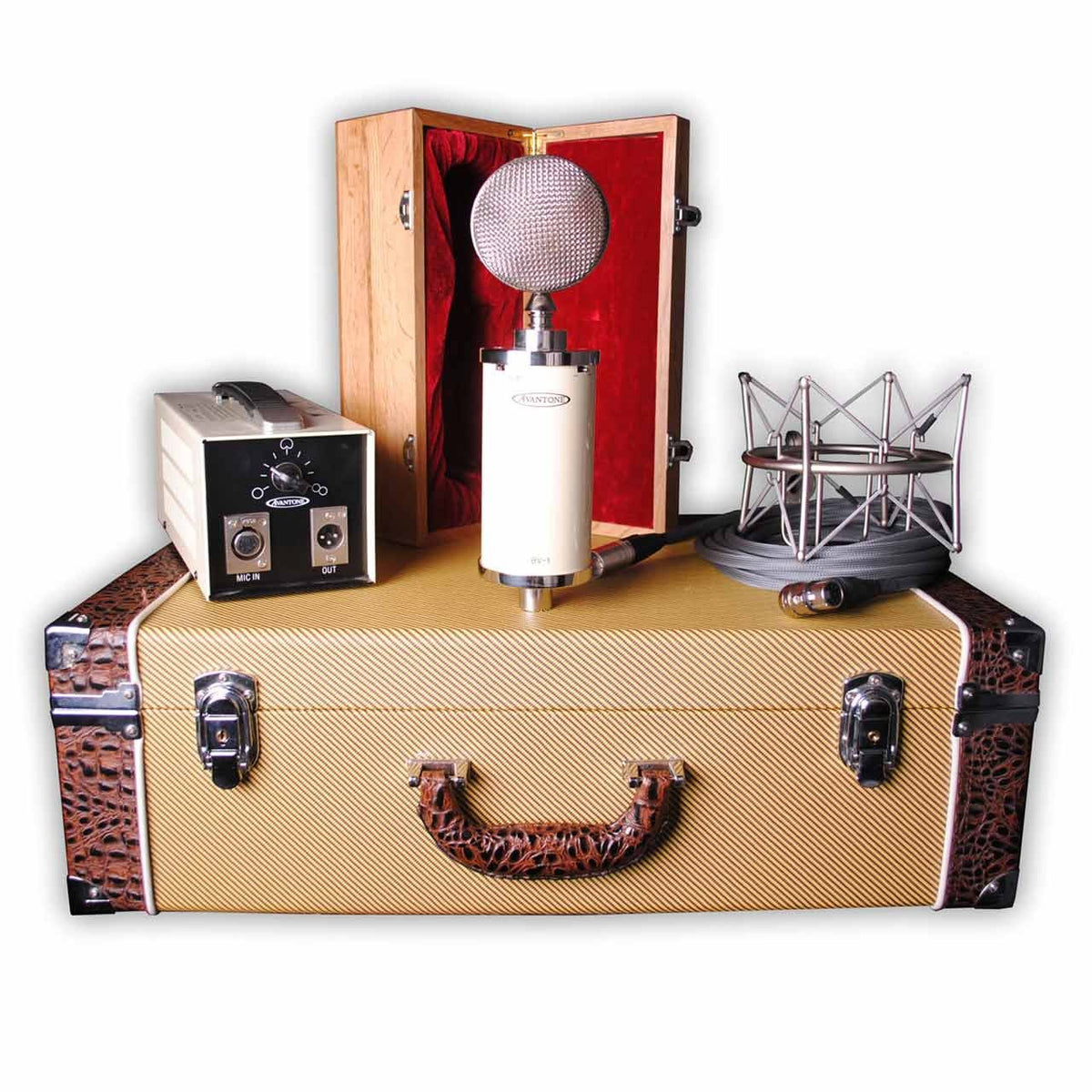 Tube Microphones - Avantone Pro BV-1 Large-diaphragm Tube Condenser Microphone