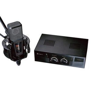 Tube Microphones - Lewitt LCT 940 Tube / FET Large Diaphragm Condenser Microphone