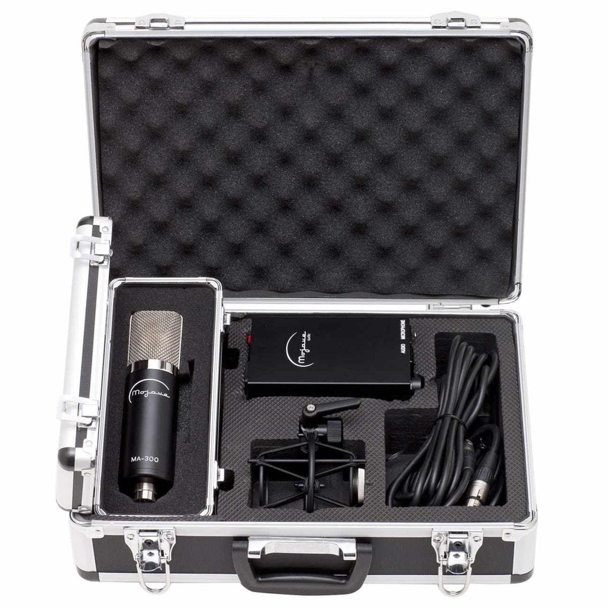 Mojave MA-300 Multi Pattern Vacuum Tube Condenser Mic - Sounds Easy