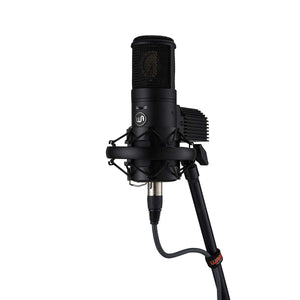 Warm Audio WA-8000 Tube Condenser Microphone